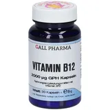 Vitamin B12 2000 Μg Gph Kapseln