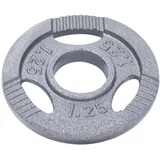 GORILLA SPORTS® Olympia Hantelscheiben - 1,25kg, 2,5kg, 5kg, 10kg, 15kg bis 20kg Gewichte, 50mm Bohrung, Tri-Grip, aus Gusseisen, Silber - Gewichtsscheiben, Olympiascheiben