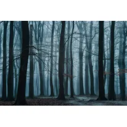 Fototapete PAPERMOON "Photo-Art ELLEN BORGGREVE, WIR ALLE", bunt, B:4,50m L:2,80m, Vlies, Tapeten