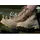 Mil-Tec Herren Us 'Speed Lace' Wanderstiefel, Khaki, 43 EU