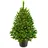 artitree Künstlicher Weihnachtsbaum Nordfichte im Topf 
