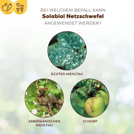 Solabiol Netzschwefel Pilzfrei 75 g