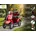 ECONELO E-Seniorenmobil Voltrixx 4-Rad 1000 Watt Rot