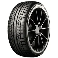 Evergreen EA719 205/55 R16 94V XL RoF