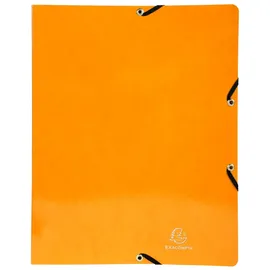 Exacompta Ringbuch Iderama A4 sortiert