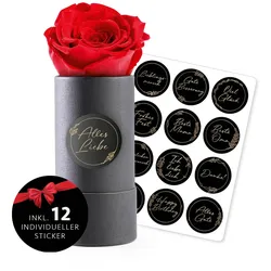 MyFlowers Infinity Rose 100% echte Rose