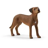 Schleich Farm World Rhodesian Ridgeback 13895
