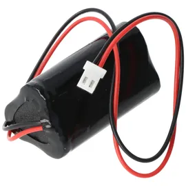 AccuCell Notleuchtenakku AA 900 mAh 1 St.