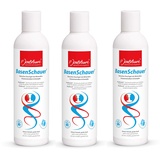 P. Jentschura Jentschura BasenSchauer 250ml