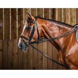 Dyon Working Collection Jagdschlaufzügel