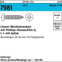 Industrial Quality Supplies DIN 7981 Form C Linsenkopf-Blechschraube VG