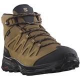 Salomon Schuhe X Ward Leather Mid Goretex Hiking Shoes Braun EU 44 Mann