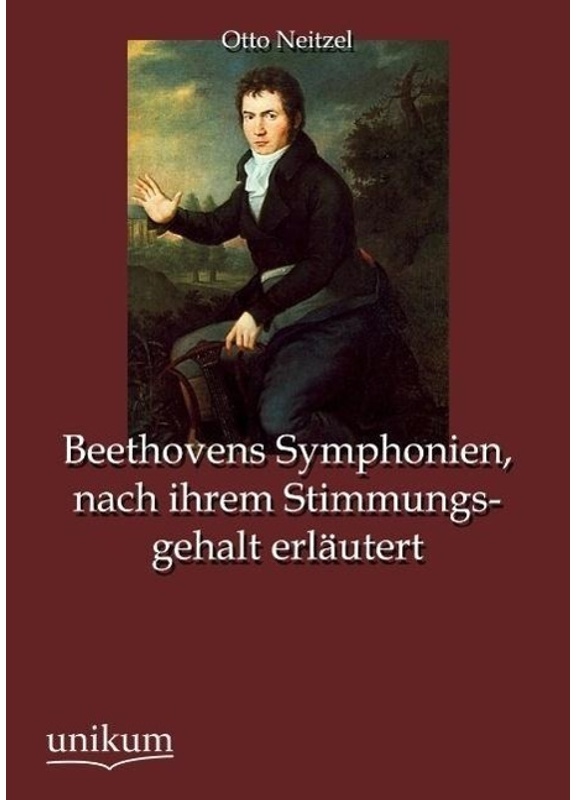 Beethovens Symphonien, Nach Ihrem Stimmungsgehalt Erläutert - Otto Neitzel, Kartoniert (TB)