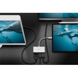 Goobay USB-CTM Multiport-Adapter VGA+DP+HDMITM - erweitert ein USB-CTM-Gerät um einen HDMITM-, einen DisplayPort und einen VGA-Anschluss