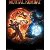 ERIK Poster Mortal Kombat 9 Videospiel