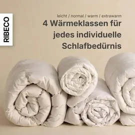 RIBECO GERMANY Daunenbettdecke 155x220 cm – Wärmeklasse: leicht – –kuschelige Decke mit Kassettensteppung, - Weiß