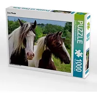 Calvendo Zwei Pferde Puzzle