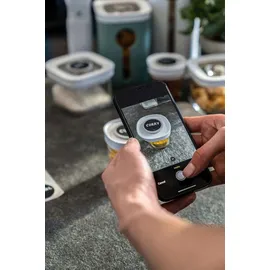 Zwilling Fresh & Save Cube 21 x 21 x 10 cm 1-tlg. transparent