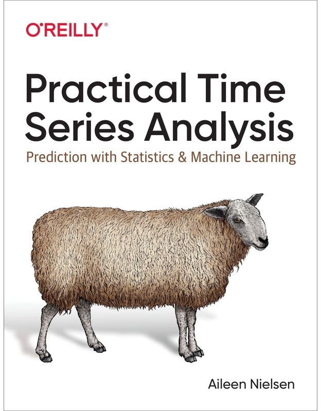 Practical Time Series Analysis - Aileen Nielsen, Kartoniert (TB)