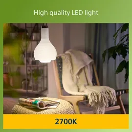 Philips LED-Lampe 40W E27 2700 K warmweiß (00225557)