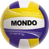 Mondo, Volleyball