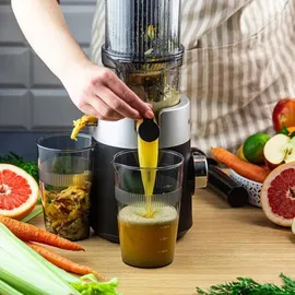 Klausberg KB-7871 Slow Juicer schwarz/silber