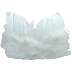 Federflügel weiß 12 Stk. Engel Weihnachten Dekoration Christbaum