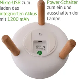 NEW GARDEN Rocket 20 Weiß