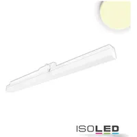 ISOLED 3-PH Linearleuchte 600mm, 20W, 110°, weiß