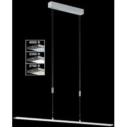 FISCHER & HONSEL Pendelleuchte METZ