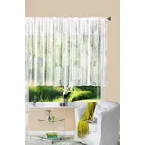 Gardinenbox Gardine Store Jacquard Fabio HxB 175x300 cm Kräuselband Universalband Weiß Kreismuster Transparent Voile Vorhang Wohnzimmer, 13143