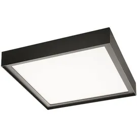 SG-Leuchten Disc 285x285 schwarz 2 Leuchtmittel
