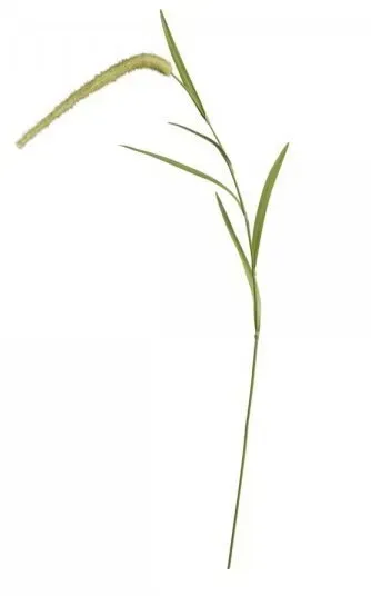 Chic Antique Fleur Stroh, H95 cm, grün