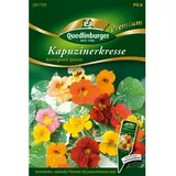 Quedlinburger Kapuzinerkresse ''Variegated Queen''