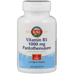 Vitamin B5 1000 mg Pantothensäure