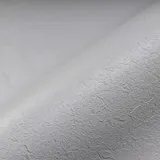 Renolit Alkorplan Relief 25m x 1,65m hellgrau