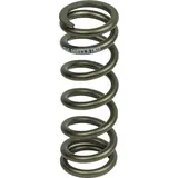 DVO Jade/jadexls 76 Mm Stoßdämpferfeder - Black - 300 lbs