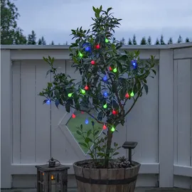 Star Trading Globini - Bunt