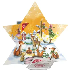 H&s Adventskalender Stern Filterbeutel