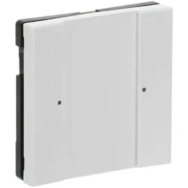 Busch-Jaeger Tastsensor 1/2fach 6125/02-84