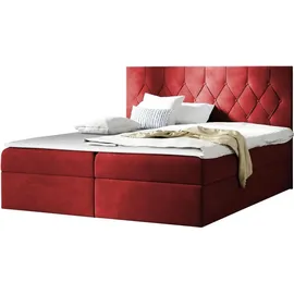Mirjan24 Loloz 140 x 200 cm Rot