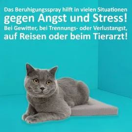 GreenHero Green Hero Entspannungsspray 500 ml für Katzen enthält beruhigende Duftstoffe wie Baldrian, Lavendel und natürliche Katzenminze für Wohlbefinden und Entspannung