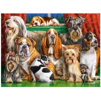 Castorland Dog Club 3000 Teile Puzzle, bunt