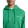 QUIKSILVER Salt Water Graphic Hoodie Grün L