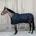 Horsewear Pferdedecke 160 cm