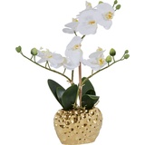 Kunstpflanze Orchidee Orchidee, Leonique, Höhe 38 cm, Kunstorchidee, im Topf, Bestseller, über 2500 4,5-Sterne-Bewertungen goldfarben|weiß 13 cm x 38 cm x 6,5 cm