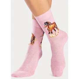 H.I.S. Socken 5-Paar Bunt 39-42