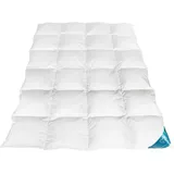 Sandaro Home Daunendecke 135x200 Ganzjahres - Öko-Tex Zertifiziert Daunendecke mit 70% Daunen 30% Federn, Federbettdecke 135x200, Bezug aus natürlicher Baumwolle Daunenbettdecke 135x200, 1100g