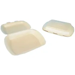 200 Außerhaus Menüboxen mit Klappdeckel ungeteilt 24x20x7cm XPP recycelbar