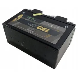 XtremeMac Gel Akku 4V 4500 mAh 1 St.